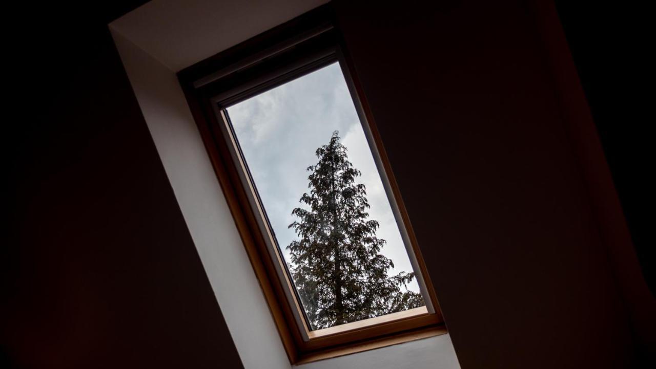 Resort Valea Lui Liman Tomesti (Timis)