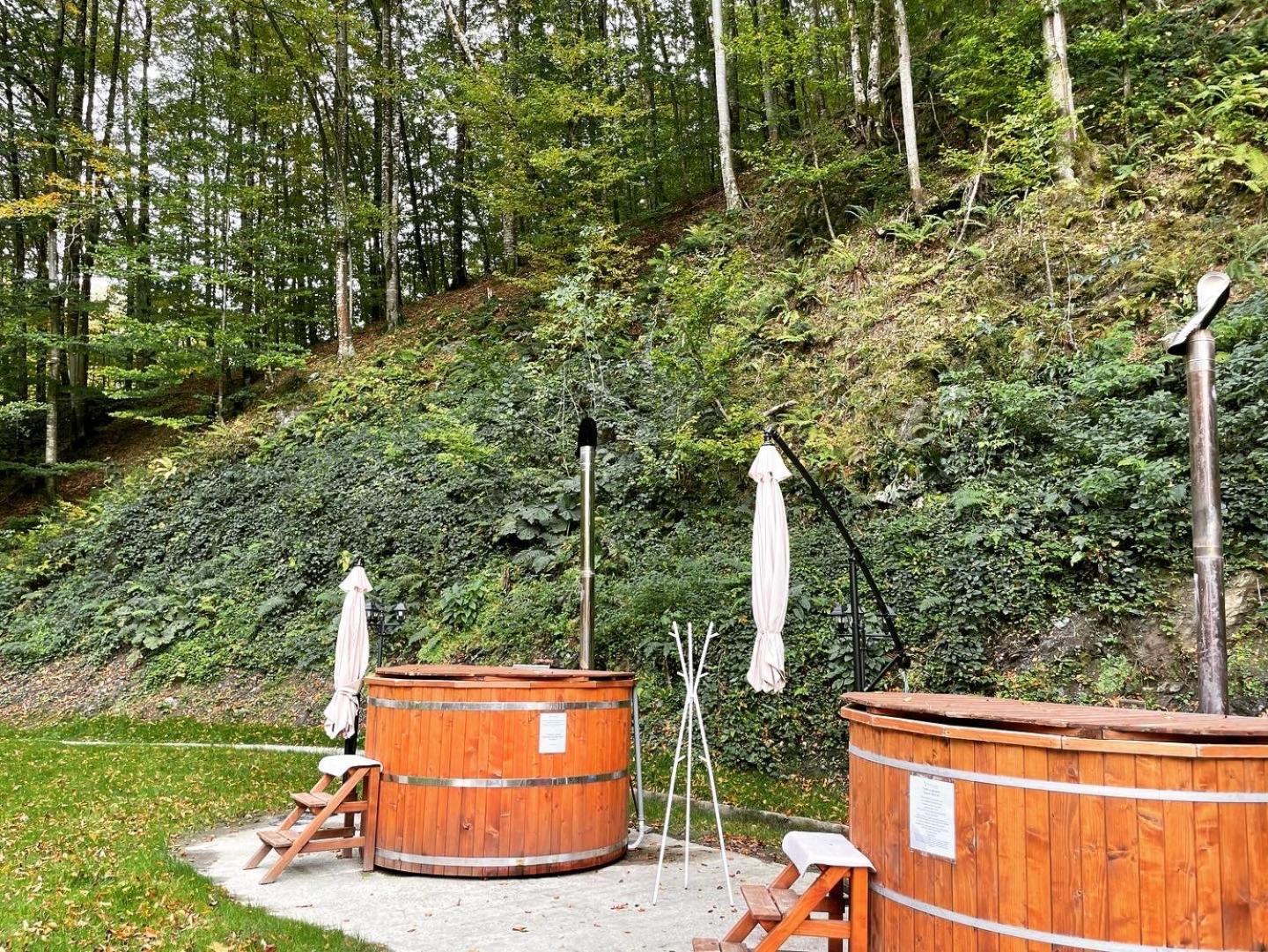 Valea Lui Liman Resort 2*