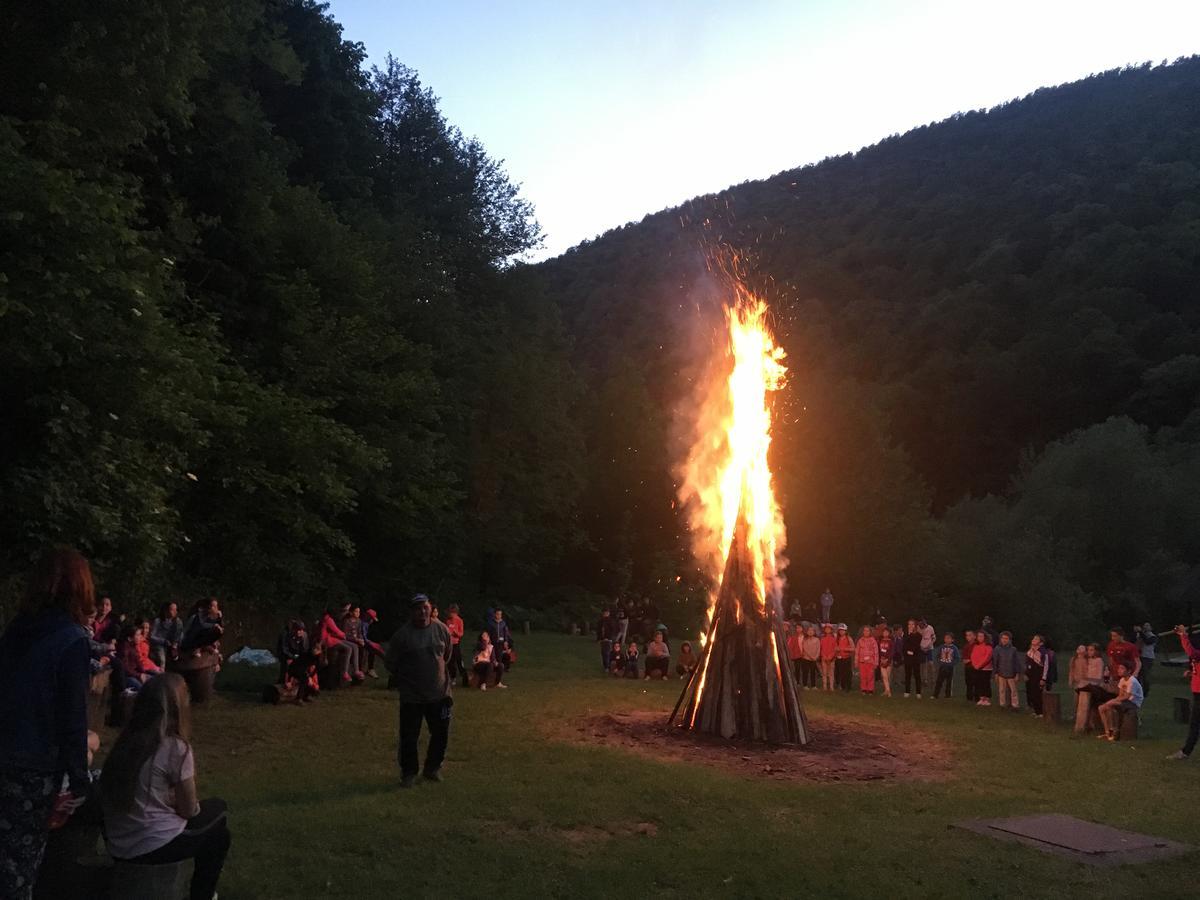 Valea Lui Liman 2* Tomesti (Timis)